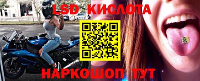 молекула духа Заволжье