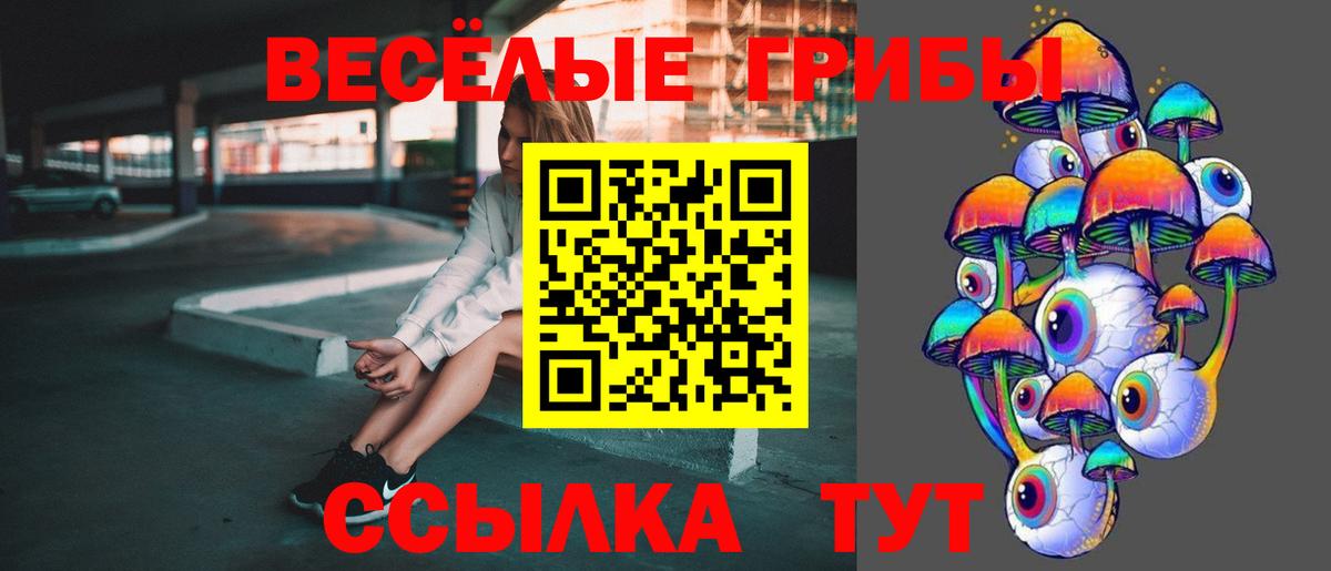 Псилоцибиновые грибы Psilocybine cubensis Лангепас